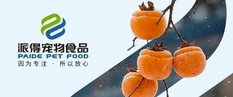 派得寵物